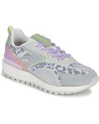 Gioseppo - Baskets basses CAVENDISH - Lyst