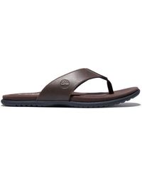 sandale homme timberland