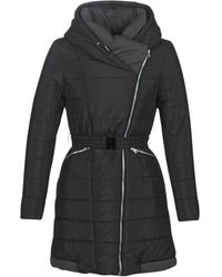 Betty London Donsjas Luciole - Zwart