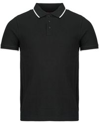 BOTD - Polo Adara - Lyst