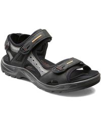 Ecco Sandalen voor Heren in de uitverkoop. | KLEDING.nl
