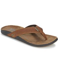 reef mens sandals uk