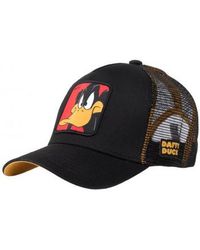 Capslab - Casquette Casquette Dafy Duck CL/LOO/1/DAF1 - Lyst