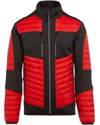 Regatta - Doudounes - Lyst