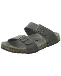 Haflinger - Sabots - Lyst