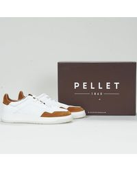 Pellet - Sneaker Ronny - Lyst