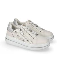 Valleverde - Baskets basses 35493 - Lyst