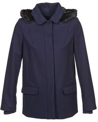 Naf Naf Mantel Armande - Blauw