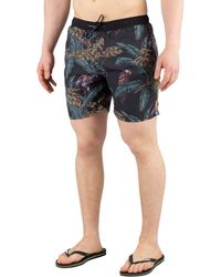 maillot scotch and soda