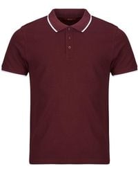 BOTD - Polo Adara - Lyst