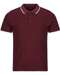 BOTD - Polo Adara - Lyst