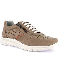 Grünland - Baskets basses DSG-SC0794 - Lyst