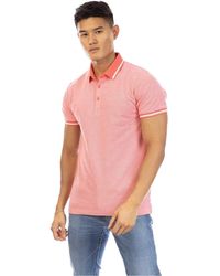 Peter Werth - Polo GT13017 - Lyst