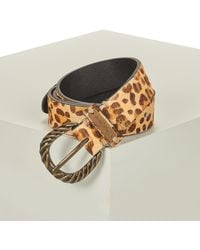 Pepe Jeans - Gürtel Halseyprint Belt - Lyst