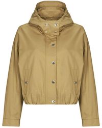 Morgan - Windjack Gcamis - Lyst