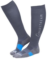 Coldstream - Chaussettes Morriston Performance - Lyst