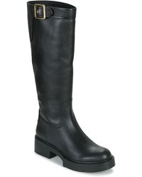 COACH-Kniehoge laarzen voor dames | Online sale met kortingen tot 30% |  Lyst NL