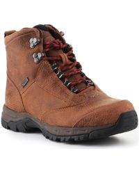 Ariat-Schoenen voor dames | Online sale met kortingen tot 20% | Lyst NL