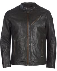 Chevignon Veste STEEL - Marron