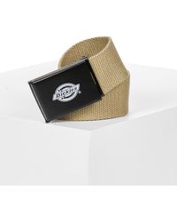 Dickies - Gürtel Orcutt Khaki - Lyst