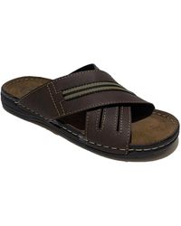 Spartoo ART 611 - Marrone