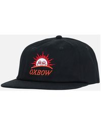 Oxbow - Pet Papa Pet Guillermo - Lyst