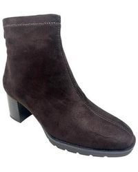 D'ANGELA - Bottines Botín Señora 31997 Dzs - Lyst