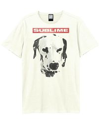 Amplified - T-shirt What I Want Dalmation - Lyst