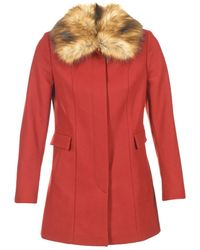 Naf Naf Mantel Apraga - Rood