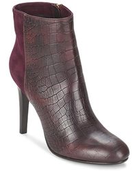 Tacco Stivali per Donna di Alberto Gozzi | FASHIOLA.it