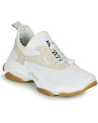 Steve Madden Sneakers Basse Match - Bianco