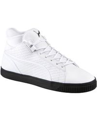 puma evolution puma evolution