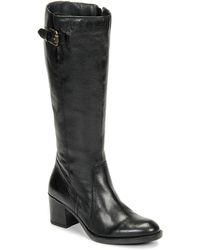 clarks mascarpone ela