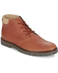 bottine lacoste homme