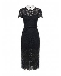 Self-Portrait - Lace Contrast Collar Midi Dress - Lyst