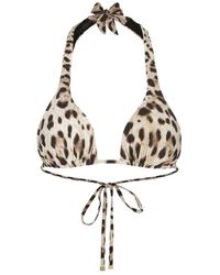 Dolce & Gabbana - Leopard-print Triangle Bikini Top - Lyst