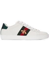 gucci sneakers dog