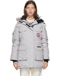 canada goose grise