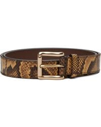 Amiri - Python Square Belt - Lyst