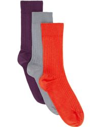 Baserange - Three-Pack Rib Overankle Socks - Lyst
