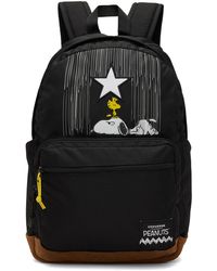 Converse Backpacks for Women | Online Sale up to 38% off | Lyst