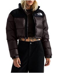 The North Face - Nuptse Short Jacket "Dark Chestnut Tnf" Nf0A5Gge Rm1" - Lyst
