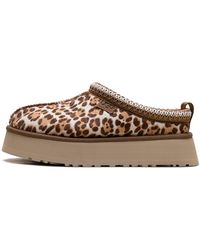 UGG - Tazz Plains Slipper "Felicity Leopard Jasmine" 1177890 Fdj" - Lyst