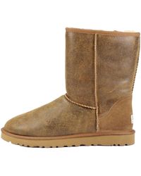 UGG - Classic Short Bomber Boot "Bomber Jacket Chestnut" 5984 Bjce" - Lyst
