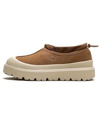 UGG - Tasman Weather Hybrid Slipper "Chestnut Whitecap" 1144096 Cwtc" - Lyst