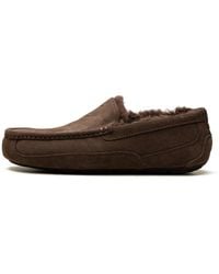 UGG - Ascot Slipper "Dusted Cocoa" 1101110 Ddc" - Lyst