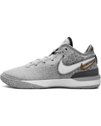 Nike - Zoom Lebron Nxxt Gen "Wolf Metallic" Dr8784 004" - Lyst