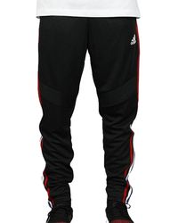 adidas - Tiro19 Training Pant Power Bold" Fk9656" - Lyst