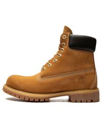 Timberland - 6 Inch Premium Boots "wheat" Shoes - Lyst