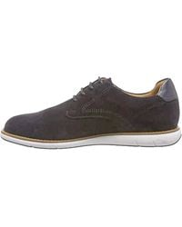 BOSS - Derby Lace-Up Suede Oxford Shoes "Dark" 50402320 401" - Lyst